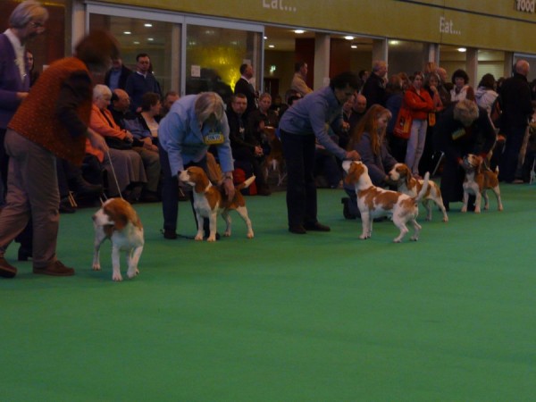 kliknutím zavřete okno