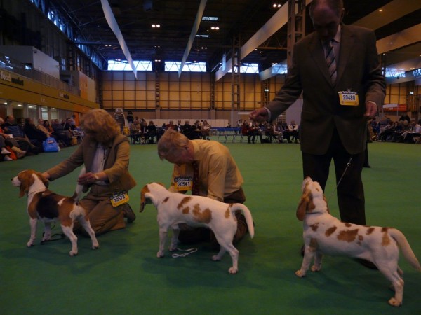 Challenge Certificate Bitch + Reserve