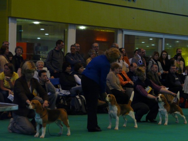 kliknutím zavřete okno