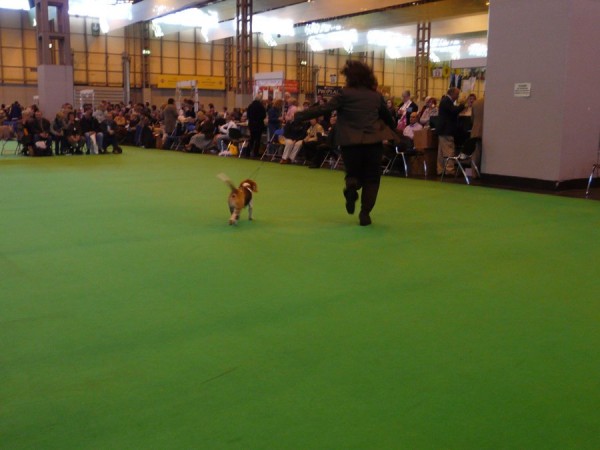 kliknutím zavřete okno