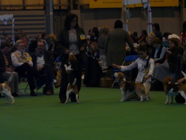 kliknutím zavřete okno