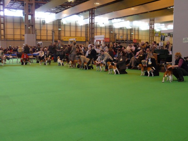 kliknutím zavřete okno