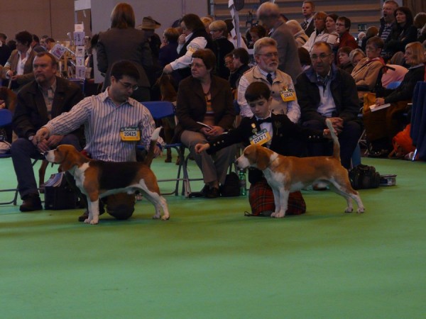 kliknutím zavřete okno