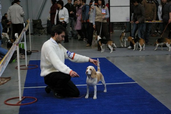 kliknutím zavřete okno