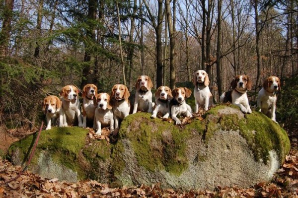 kliknutím zavřete okno