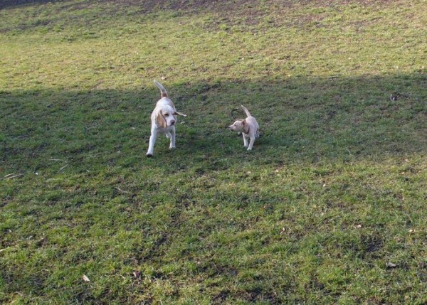 kliknutím zavřete okno