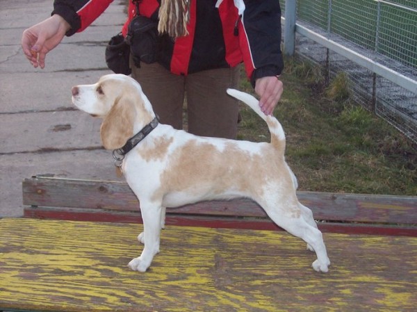 kliknutím zavřete okno