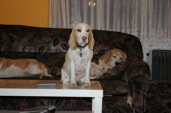 kliknutím zavřete okno