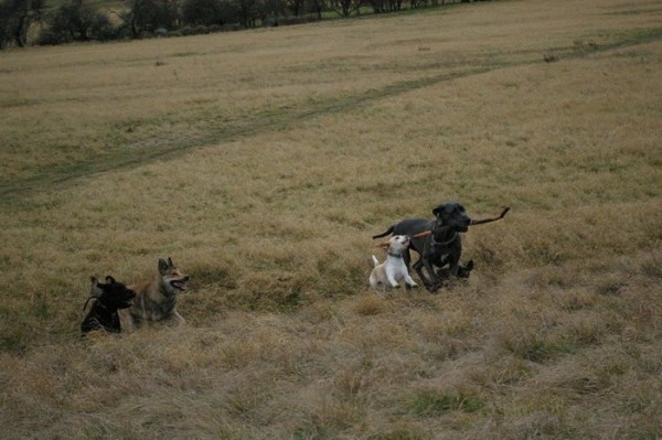 kliknutím zavřete okno