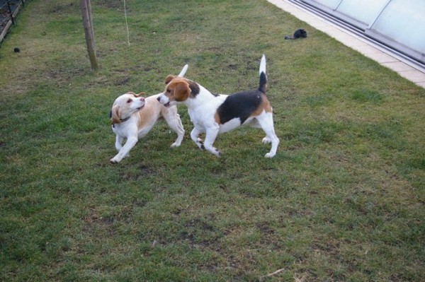 kliknutím zavřete okno