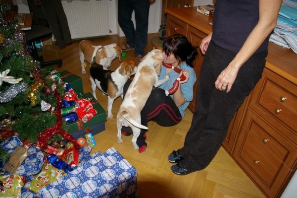 kliknutím zavřete okno