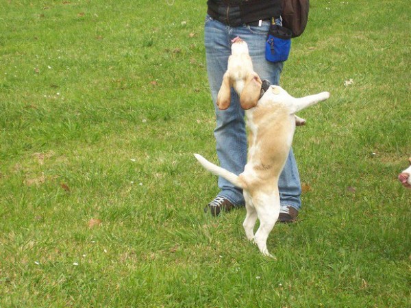 14.takhle se má tancovat - říjen 07