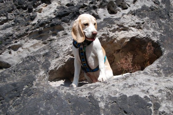 kliknutím zavřete okno