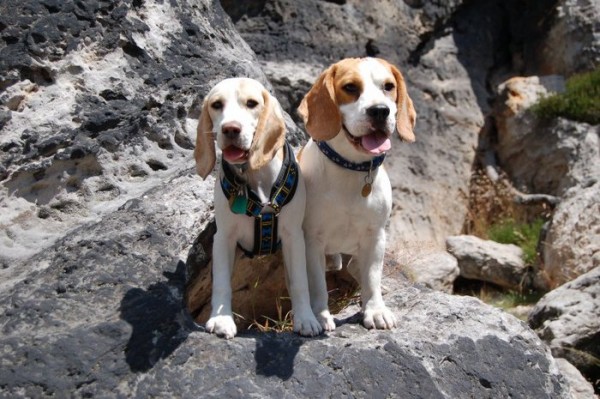 8.moje společná fotečka s Pepíííím