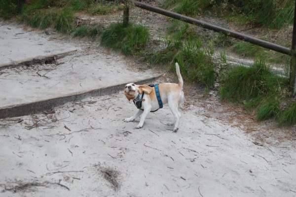 6.tisské stěny - červenec 07