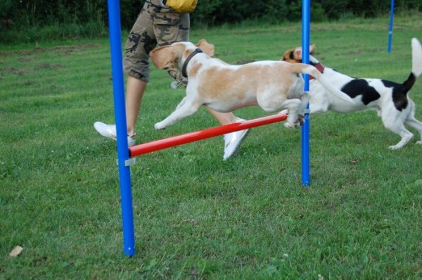 4.seznamuju se s překážkama - červen