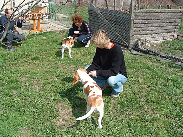 Boreček a Baukis dlabou dort