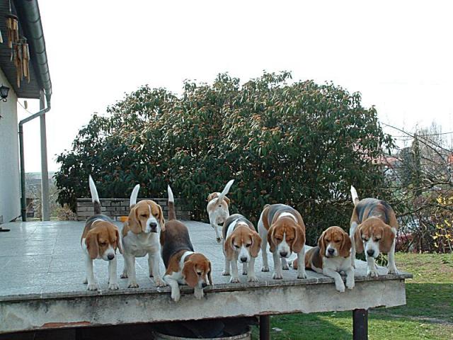 a Bak už taky ne...