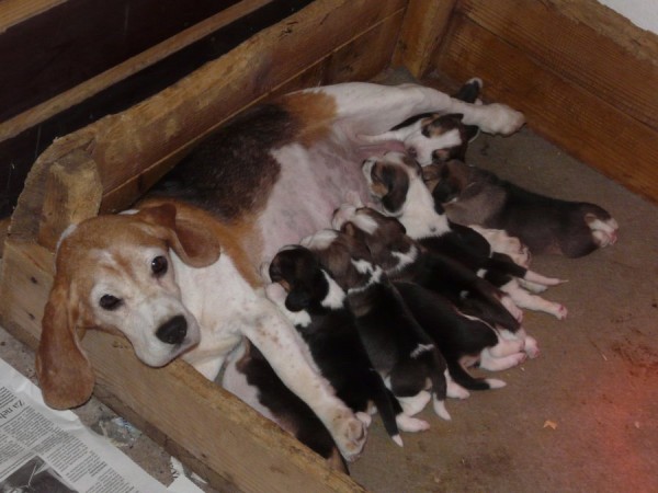 kliknutím zavřete okno