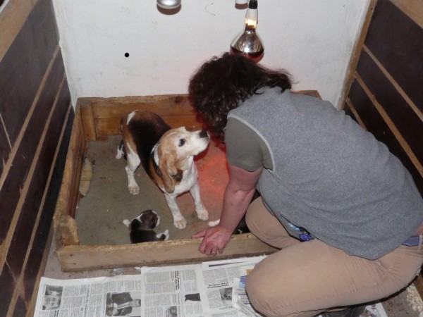 kliknutím zavřete okno