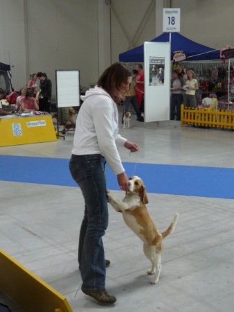 kliknutím zavřete okno