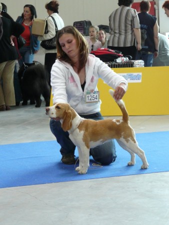 kliknutím zavřete okno