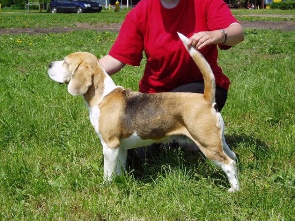 docela by nám to spolu šlo