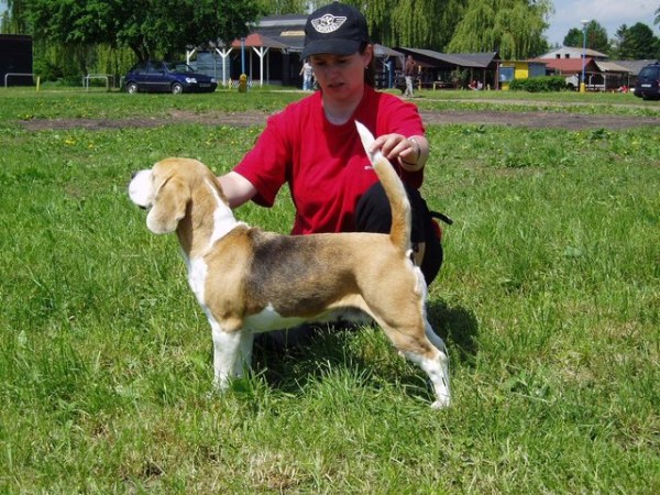 můj první postoj s paničkou