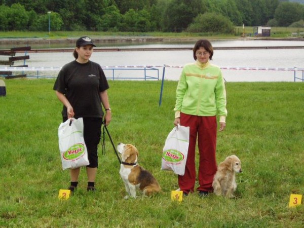 kliknutím zavřete okno
