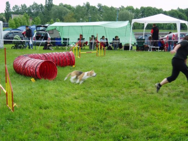 honem, ať mi panička neuteče