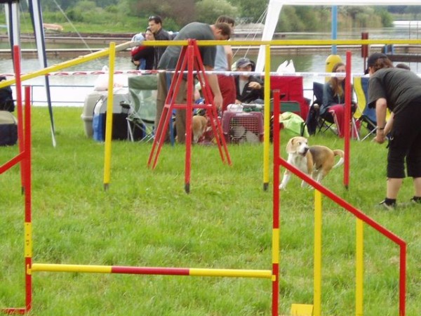 nuda, když nemůžu vynechávat tyčky