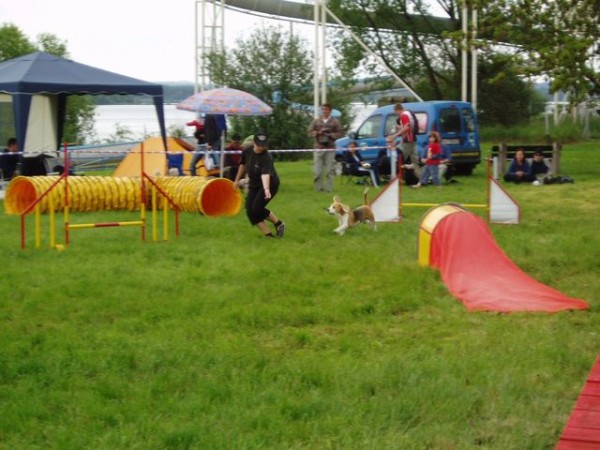 kliknutím zavřete okno