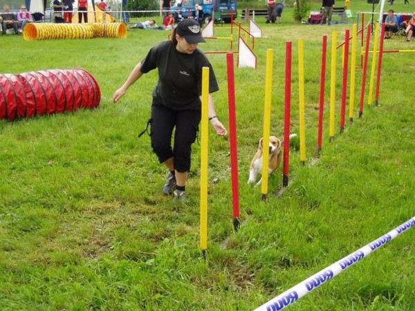 kliknutím zavřete okno