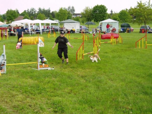poslední zatáčka a rychle do cíle
