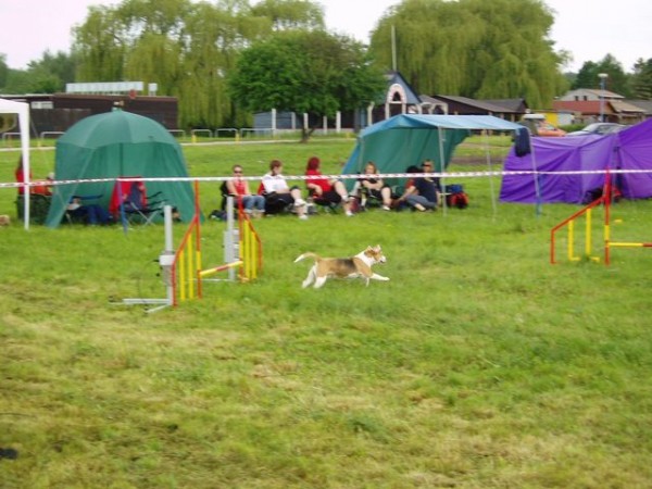 start úspešného pakuru