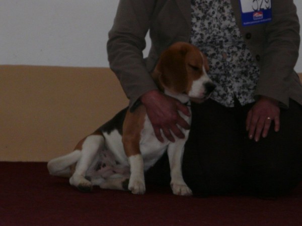 kliknutím zavřete okno