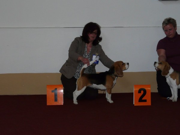 kliknutím zavřete okno