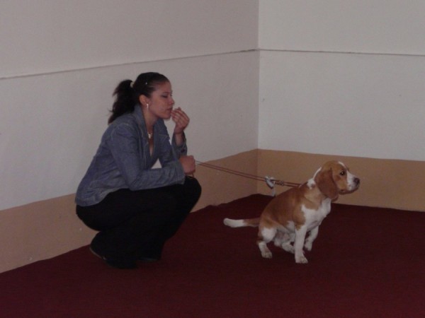 kliknutím zavřete okno