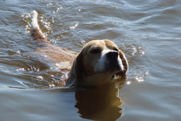 kliknutím zavřete okno