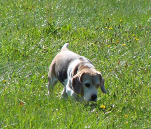 kliknutím zavřete okno