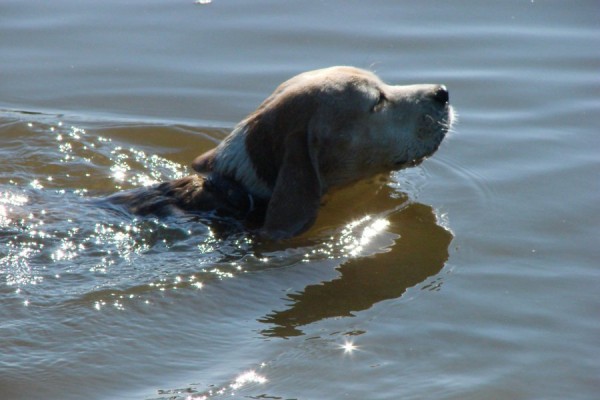 kliknutím zavřete okno