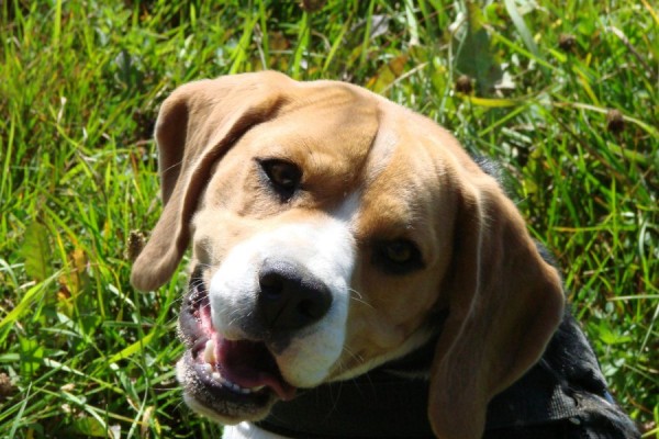 kliknutím zavřete okno