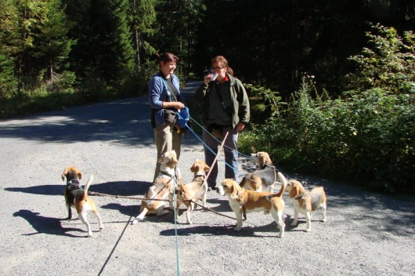 slivovicová přestávka