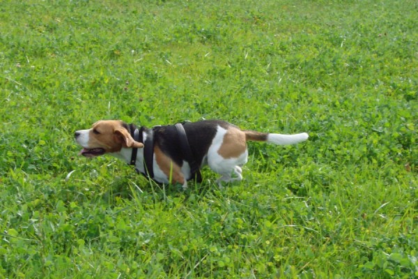 kliknutím zavřete okno