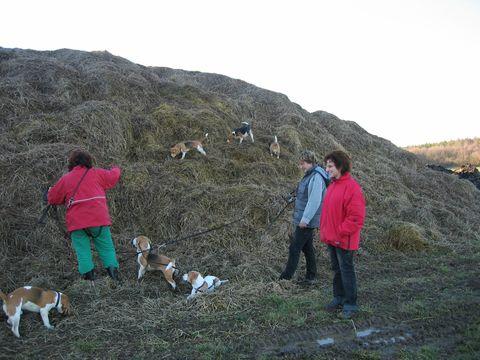 kliknutím zavřete okno