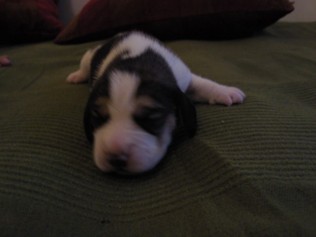 kliknutím zavřete okno