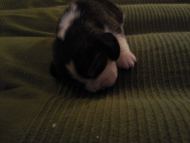 kliknutím zavřete okno