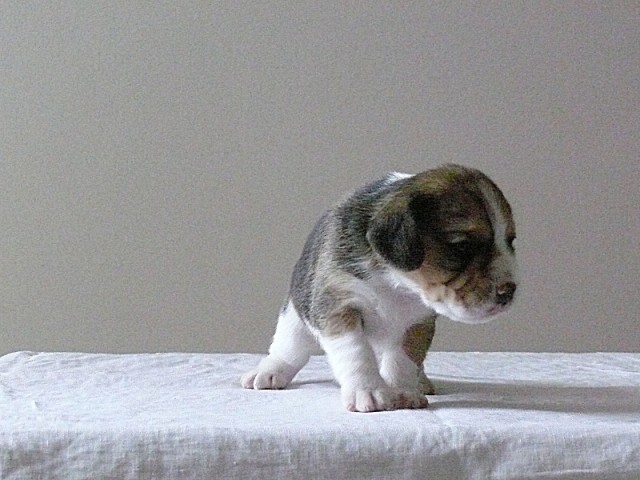 kliknutím zavřete okno