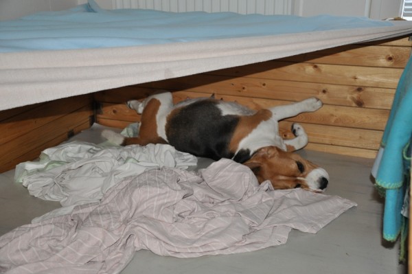 Tady se mi moc líbí