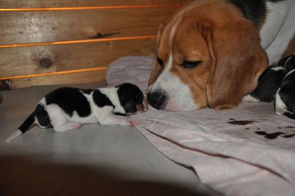 kliknutím zavřete okno